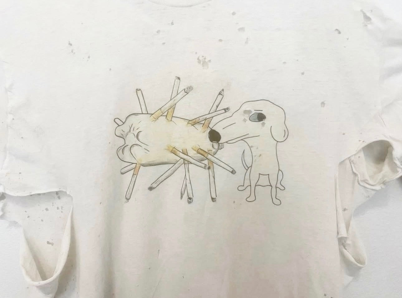 I want my ashes to be thrown all over shelter dogs